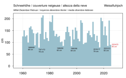 Grafico a colonne dell'altezza della neve invernale.
