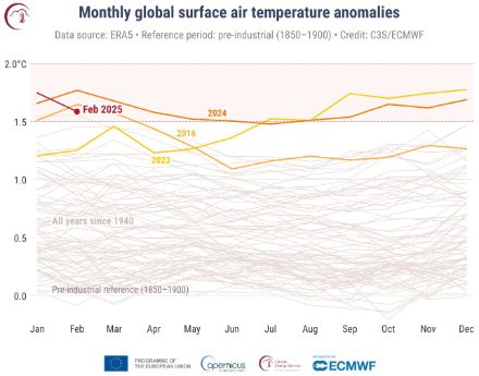 Figura 2: anomalie mensili della temperatura superficiale dell'aria (in °C) relative al periodo 1991-2020, da gennaio 1940 a febbraio 2025, rappresentate come serie temporali per ogni anno. Il 2025 è rappresentato da una linea rosso scuro, il 2024 da una linea arancione scuro, il 2023 da una linea gialla e il 2016 da una linea arancione chiaro. Tutti gli altri anni sono rappresentati da linee grigie sottili 