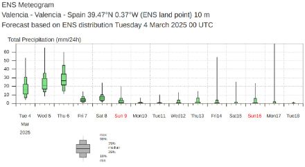 Meteogramma (modello IFS ENS) delle precipitazioni dal 4 al 17 marzo 2025 per Valencia.