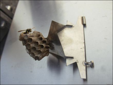 Fig.2: Bascula di misura smontata dallo strumento, e inquilino moroso.