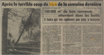 Articolo di giornale pubblicato dopo la tempesta del 15 aprile 1972.