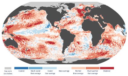 Mappa mondiale della temperatura superficiale del mare nell'aprile 2025.