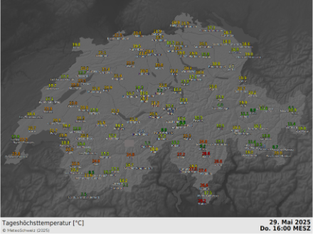 Temperature massime odierne, 29.5.2025, in Svizzera. Spiccano i valori a sud delle Alpi. 