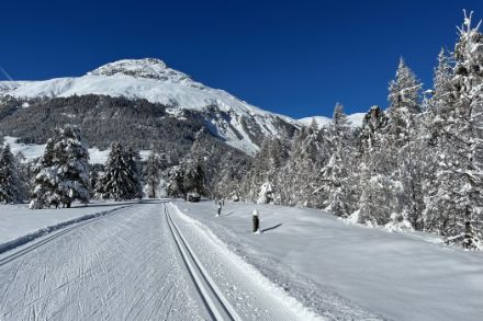 Pista da sci di fondo in un paesaggio innevato.