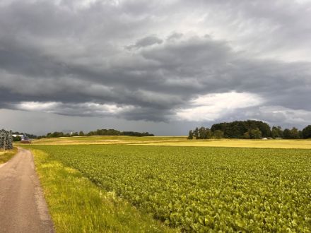 Nubi temporalesche nella regione di Zurigo. 