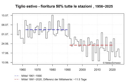 Serie temporale della data media di fioritura del tiglio estivo