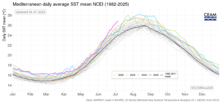 Figura 1. Andamento giornaliero della temperatura del mare nel Mediterraneo (media per l'intero bacino).
