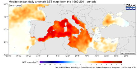 Figura 2. Anomalia della temperatura superficiale del mare misurata via satellite il 6 luglio 2025 rispetto al periodo di riferimento 1982-2011.