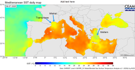 Figura 3. Temperatura della superficie del mare misurata mediante satellite il 6 luglio 2025.