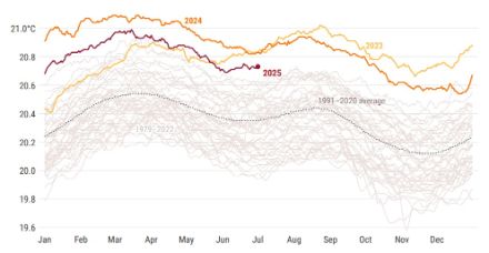 Fig. 4: temperatura giornaliera della superficie del mare (in °C) mediata sull'oceano mondiale al di fuori delle regioni polari (60°S-60°N) per il 2023 (giallo), 2024 (arancione) e 2025 (rosso scuro). Tutti gli altri anni tra il 1979 e il 2022 sono rappresentati da linee grigie. La media giornaliera per il periodo di riferimento 1991-2020 è rappresentata da una linea grigia tratteggiata 