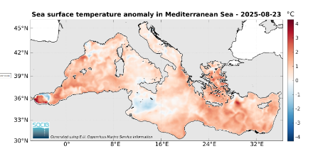Anomalia della temperatura superficiale dell'acqua del Mediterraneo rispetto alla norma degli anni dal 1982 al 2015. A causa delle temperature eccezionalmente elevate del Mediterraneo, la quantità di vapore acqueo disponibile per l'evaporazione è superiore al normale.
