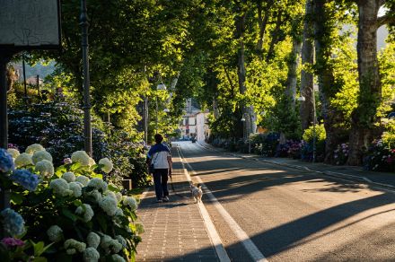 Strada di un borgo o una città immersa nel verde