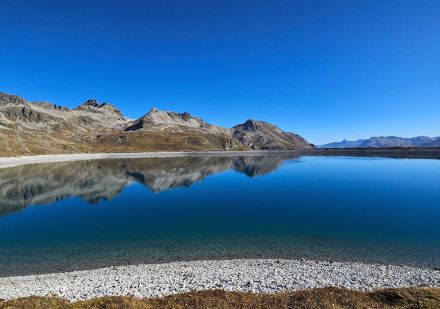 Voglia di rinfrescarsi nel Lej Alv? Grazie all'aria secca, oggi la visibilità era ottima.