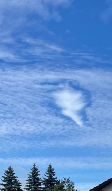 Cavum allungato all'interno di uno strato di altocumuli osservato da Ferpicloz (FR) il 14 settembre 2025 