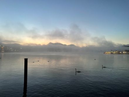 Questa mattina presto, a Lucerna, sopra il Lago dei Quattro Cantoni si sono formate le prime nebbie. Immagine: E. Müller. 