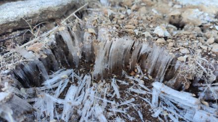 Formazione di aghi di ghiaccio sul terreno.
