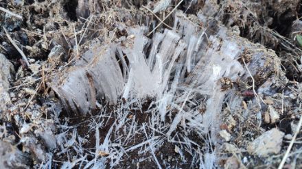 Aghi di ghiaccio a colonna sopra il terreno.
