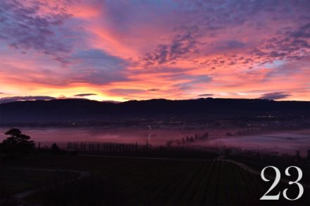 Bernex (GE), 23.12.2020