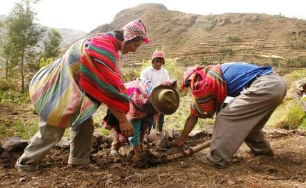 Agricoltori con abbigliamento tipico della regione andina che lavorano nei campi. Sono il gruppo target di Climandes.