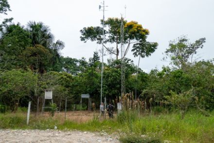  	Immagine di una stazione di misura nell’Amazzonia Ecuadorense.