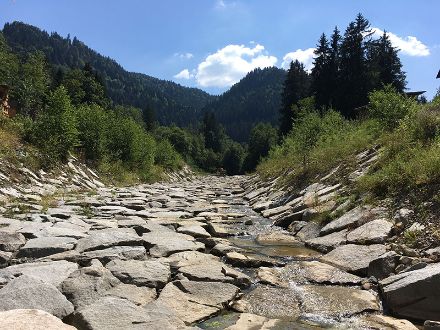 L'immagine mostra l'alveo prosciugato del Grossbach nell'estate 2018.