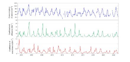 Grafico della serie di misure, rilevate dal 1995 al 2016, della concentrazione degli aerosol, del coefficiente di diffusione e del coefficiente di assorbimento.