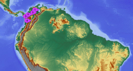 Carta con le regioni del Sudamerica maggiormente toccate dai fulmini.