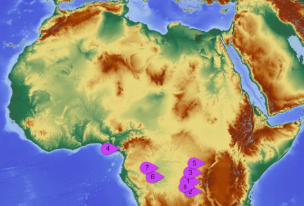 Carta con le regioni dell’Africa maggiormente toccate dai fulmini.