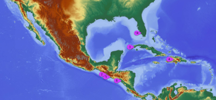 Carta con le regioni del Nordamerica maggiormente toccate dai fulmini.