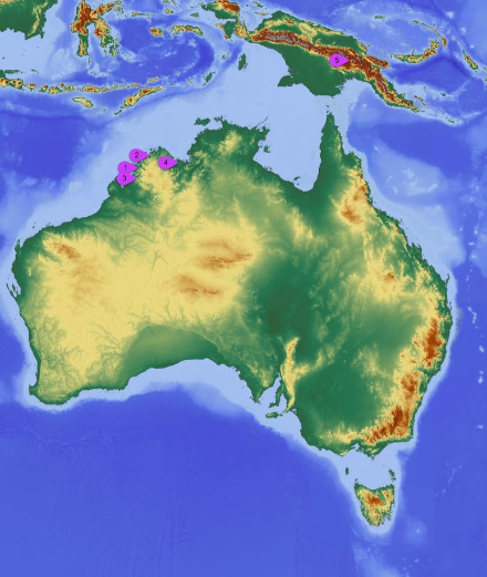Carta con le regioni dell’Oceania maggiormente toccate dai fulmini.