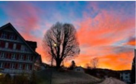 Alba colorata dietro una casa e un albero.