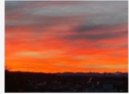 Alba colorata a Dietlikon.