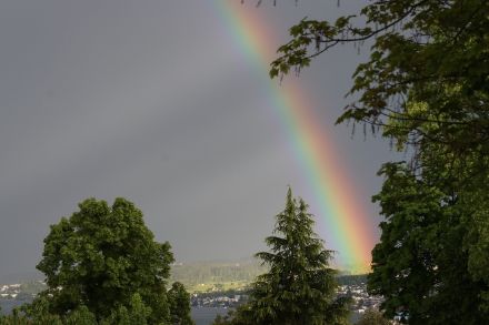 Immagine di un arcobaleno; le gocce di pioggia assumono i colori dello spettro visibile.