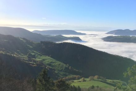 Foto di una valle nella nebbia
