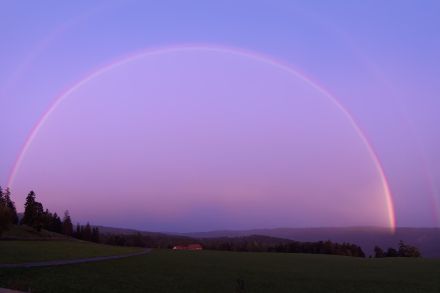 Arcobaleno senza rovesci a Corgémont, sabato 1 ottobre alle 7:30. Fonte: Segnalazioni APP di MeteoSvizzera.