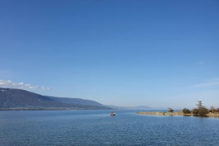 Nel 2022 ci sono state molte giornate di sole sul lago di Neuchâtel, come il 17 ottobre. Foto scattata nei pressi di Yvonand.