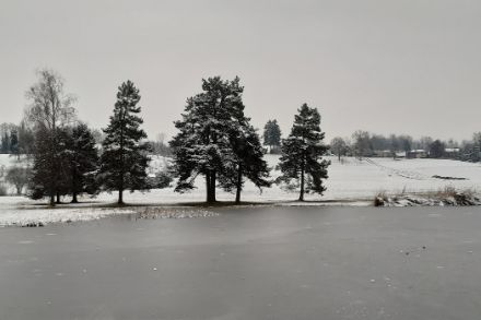 Prati e alberi con la neve, lago ghiacciato