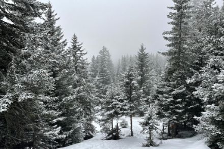 Qualche centimetro di neve a 1900 metri sopra Carì. Foto L. Nisi.