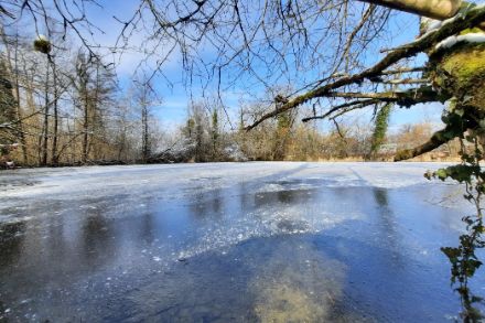 Gli stagni e i piccoli laghi iniziano a ghiacciare, come qui a Bubendorf (BL) il 21.1.2023.