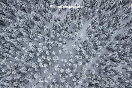 Oltre ad essere una riserva d'acqua in forma solida, la neve funge anche da isolante per il terreno e la vegetazione.
