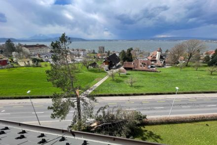 Schiarite e rami spezzati dal vento a Zugo dopo il passaggio della perturbazione. Fonte: Segnalazioni App MeteoSvizzera.