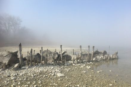 Nebbia mattutina sul Lago di Costanza. Foto: Werner Nater.