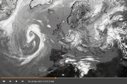 Immagine satellitare infrarossa simulata per giovedì alle 12 (ECMWF/MeteoSvizzera)