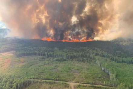 Incendio boschivo venerdì scorso vicino a Grande Prairie, Alberta, Canada. Fonte: Alberta Wildfire/ via REUTERS