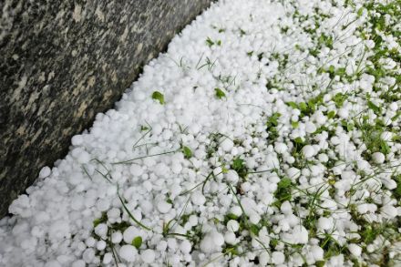 Chicchi di grandine al suolo in Ticino il 30 maggio 2023. Fonte: segnalazioni meteo.