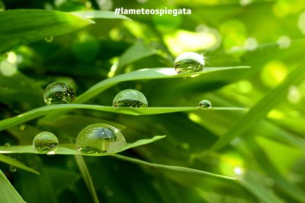 Acqua, fonte di vita. Fonte: RSINews - Imago.