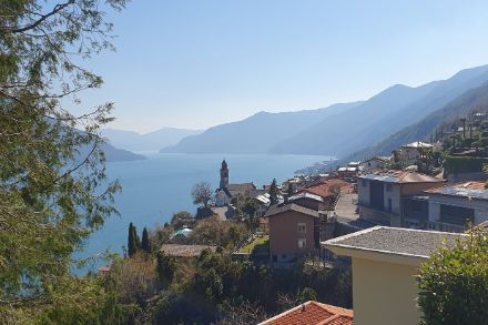 Ronco sopra Ascona sotto un cielo senza nubi il 7 settembre 2023. I danni della forte grandinata del 25 agosto, con chicchi fino a 5-7 cm di diametro, sono ancora ben visibili. Foto: L. Panziera