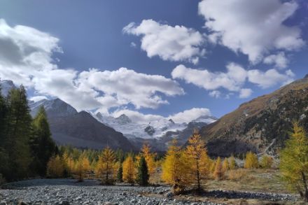 Gli aghi dei larici iniziano gradualmente a cambiare colore, come qui in Val Roseg. A causa del caldo persistente, quest'anno è probabile che questo cambiamento avvenga un po' più tardi del solito in molte regioni. Foto: CrowdSourcing MeteoSvizzera
