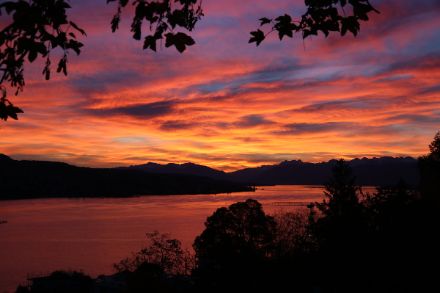 Alba colorata questo giovedì mattina 9 novembre sul lago di Zurigo, ripresa da Thalwil - Foto di Daniel Gerstgrasser.