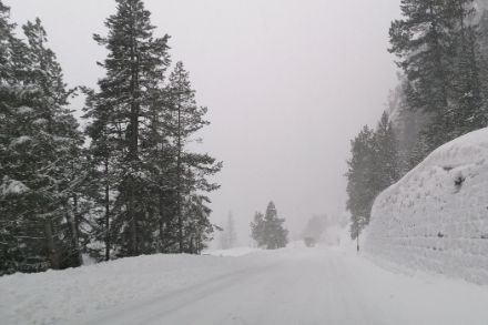Nelle regioni orientali delle Alpi in Svizzera, come qui a Zernez, tra il 21 e il 23 dicembre c'era localmente fino a mezzo metro di neve fresca. Tuttavia, fino alle quote medio-alte, le precipitazioni sono cadute sotto forma di pioggia. Foto: Segnalazioni Meteo App di MeteoSvizzera